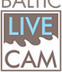 Webcam Wild animals, - Online