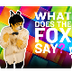  Ylvis - The Fox