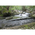 Restore Stream Flow