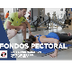 FONDOS - Pectoral