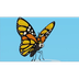 Hooplakidz - Butterfly