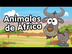 Animales de áfrica - Canciones