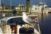 Chesapeake Bay, Maryland