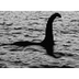 Loch Ness Sea Monster Fossil a