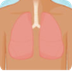 Lungs and Respiratory System