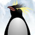 Super Penguin Dash