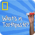 Toothpaste | Ingredients With 
