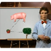 Bill Nye-Food Web - SchoolTube