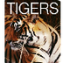 Live Tiger Cam - video of tige