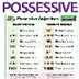 Possessive Adjectives in Engli