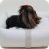 Designer Small Size Dog Beds