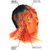 Neck Pain Treatment Service In