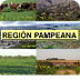 Imagen región pampeana
