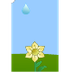 bloemen water geven