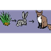 Food Chain Game