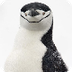 Neaq Penguin Species Sheets