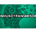 Neurotransmisores 