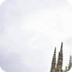 VisitBur-Guia App