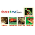 Facts4Me.com-Frogs