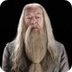 Albus Dumbledore - Wikipedia
