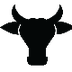 Texas
