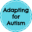 Adapting for Autism 