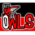 NTX OWLS BASEBALL - (DENISON, 