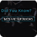 Did You Know? Bats are Supermo