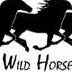 Black Hills Wild Horse Sanctua