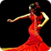 Video Flamenco 