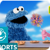 Sesame Street: Abby and Cookie