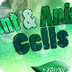 Plant Cell and Animal cell Dif