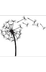 Seed Dispersal