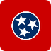 Tennessee State Flag - About t