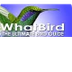 WhatBird- identify birds