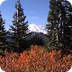 Mount Rainier National Park - 