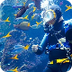 CAoS Coral Reef CAM
