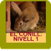 Conill Nivell1