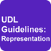 UDL: Representation