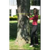Measuring Tree Diameter