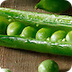 Peas & Fresh Beans 