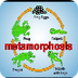 Metamorphosis Song