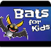 Bats for Kids - YouTube