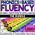 Phonics based fluency strips