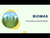 Biomas: clasificación y princi