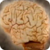 Cerebro: Concentracion y distr