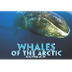 eBook Whales of the Arctic