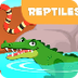 Los reptiles para niños - Anim
