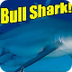 Bull Sharks | SHARK ACADEMY - 
