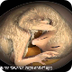 Embryo Development